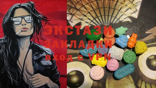 гидра Елабуга
