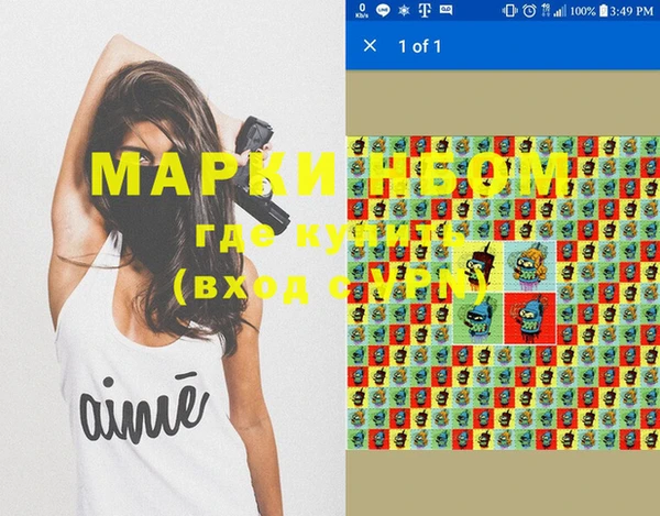 гидра Елабуга