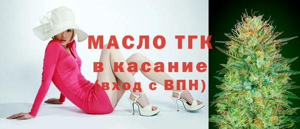 гидра Елабуга