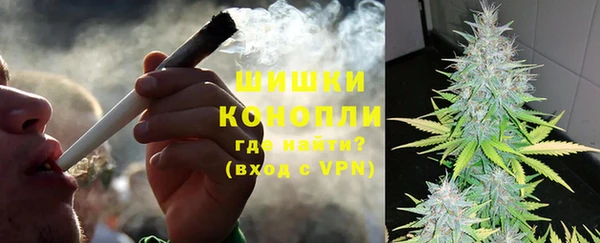 гидра Елабуга