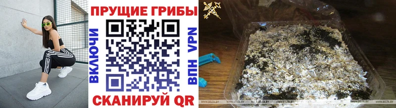 Галлюциногенные грибы ЛСД  Купить где  Маркс 